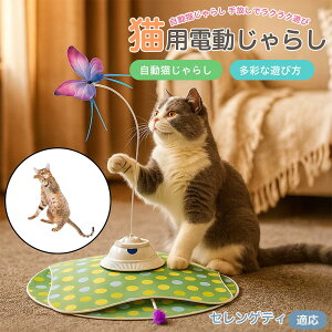 y5{|CgzZQeB Serengeti Cat  L炵 [d 3[h Ht mߋ ԊOm p É݌v lV Ή ԈS XgX {\h ^s