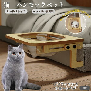 ueBbVV[gwA British Shorthair L xbh ؐnbN pnbN xbgnbN pnbN Lpxbh LnbNP[Wp FD{E h[^ 