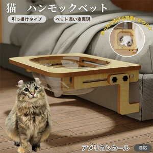 y10{|CgzAJJ[ American Curl L xbh ؐnbN pnbN xbgnbN pnbN Lpxbh LnbNP[Wp FD{E h[^ 