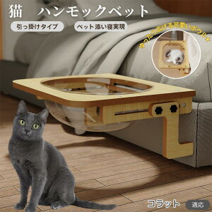 y10{|CgzRbg Korat L xbh ؐnbN pnbN xbgnbN pnbN Lpxbh LnbNP[Wp FD{E h[^ |鎮 