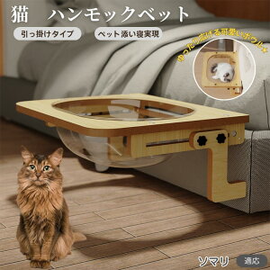 y5{|Cgz\} Somali L xbh ؐnbN pnbN xbgnbN pnbN Lpxbh LnbNP[Wp FD{E h[^ |鎮 L