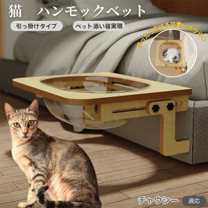 `EV[ Chausie L xbh ؐnbN pnbN xbgnbN pnbN Lpxbh LnbNP[Wp FD{E h[^ |鎮 Lɂ