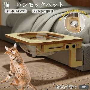 ZQeB Serengeti Cat L xbh ؐnbN pnbN xbgnbN pnbN Lpxbh LnbNP[Wp FD{E h[^ |鎮 L
