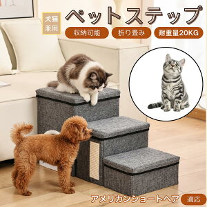AJV[gwA American Shorthair ybgXebv Ki p Lp \t@ xbh i X[v  PA ~ y ܂肽 ȃXy[X ω׏d20kg [ gȒP Vj