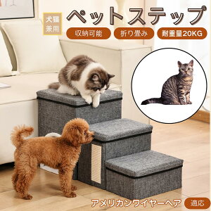 y10{|Cgz AJC[wA American Wirehair ybgXebv Ki p Lp \t@ xbh i X[v  PA ~ y ܂肽 ȃXy[X ω׏d20kg 