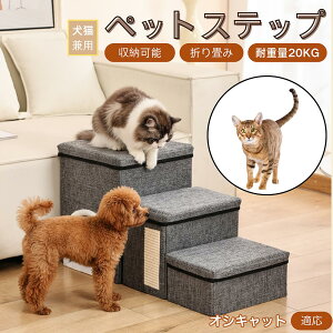 y10{|CgzIVLbg Ocicat ybgXebv Ki p Lp \t@ xbh i X[v  PA ~ y ܂肽 ȃXy[X ω׏d20kg [ gȒP VjA 