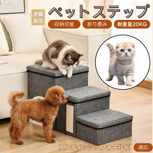 XReBbVtH[h XR Scottish Fold ybgXebv Ki p Lp \t@ xbh i X[v  PA ~ y ܂肽 ȃXy[X ω׏d20kg [ gȒP V