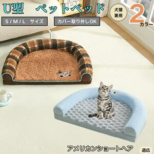 y10{|CgzAJV[gwA American Shorthair U^ybgxbh Lp ӂӂ ۉ ې􂢉 Jo[O ~ߕt t NbV \t@ I[V[Y ^