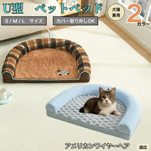 y10{|Cgz AJC[wA American Wirehair U^ybgxbh Lp ӂӂ ۉ ې􂢉 Jo[O ~ߕt t NbV \t@ I[V[Y ^