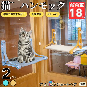 y10{|CgzAJV[gwA American Shorthair Lp zՃnbN pxbh ͋z ω׏d10kg ȒPݒu ܂肽 􂦂Jo[ ȃXy[X ڂ ӃbNX 