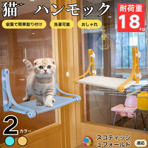 y5{|CgzXReBbVtH[h XR Scottish Fold Lp zՃnbN pxbh ͋z ω׏d10kg ȒPݒu ܂肽 􂦂Jo[ ȃXy[X ڂ ӃbNX