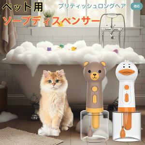 ueBbVOwA British Longhair USB[d Aq^ dAĊ ybgp\[vfBXyT[ A ᑛ y ̓[^[   Vv[ pr L Cpi 