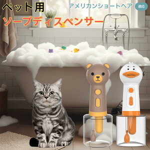 AJV[gwA American Shorthair USB[d Aq^ dAĊ ybgp\[vfBXyT[ A ᑛ y ̓[^[   Vv[ pr L Cpi l