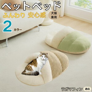 y10{|CgzK}tB RagaMuffin ybgxbh Lp ~p Q܌^ ӂӂ NbV ۉ h 􂦂 ^ ^ Lp   k \t@ nEX  