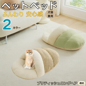 y10{|CgzueBbVOwA British Longhair ybgxbh Lp ~p Q܌^ ӂӂ NbV ۉ h 􂦂 ^ ^ Lp   k \t@ nEX 