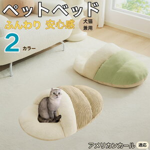 y10{|CgzAJJ[ American Curl ybgxbh Lp ~p Q܌^ ӂӂ NbV ۉ h 􂦂 ^ ^ Lp   k \t@ nEX  