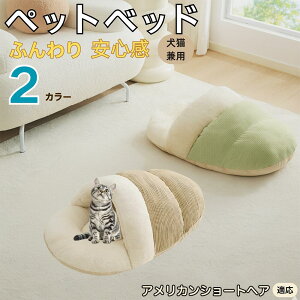 y10{|CgzAJV[gwA American Shorthair ybgxbh Lp ~p Q܌^ ӂӂ NbV ۉ h 􂦂 ^ ^ Lp   k \t@ nEX 