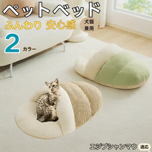 y10{|CgzGWvV}E Egyptian Mau ybgxbh Lp ~p Q܌^ ӂӂ NbV ۉ h 􂦂 ^ ^ Lp   k \t@ nEX  