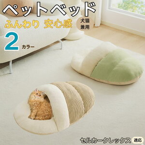 ZJ[NbNX Selkirk Rex ybgxbh Lp ~p Q܌^ ӂӂ NbV ۉ h 􂦂 ^ ^ Lp   k \t@ nEX  Ή ۉf