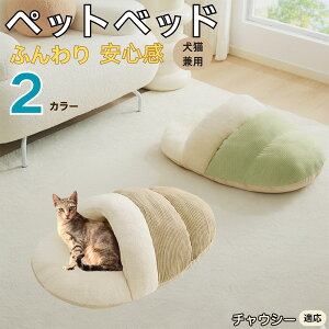 y10{|Cgz`EV[ Chausie ybgxbh Lp ~p Q܌^ ӂӂ NbV ۉ h 􂦂 ^ ^ Lp   k \t@ nEX  Ή 