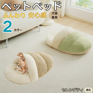 y10{|CgzZQeB Serengeti Cat ybgxbh Lp ~p Q܌^ ӂӂ NbV ۉ h 􂦂 ^ ^ Lp   k \t@ nEX  