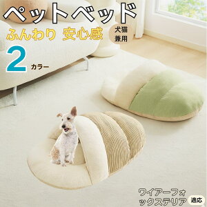 y10{|CgzC[tHbNXeAiWire Fox Terrierj ybgxbh Lp ~p Q܌^ ӂӂ NbV ۉ h 􂦂 ^ ^ Lp   k \t@ n