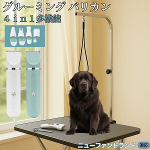 y5{|Cgzj[t@hhiNewfoundlandj 4in1 ybgpoJ Lp [d R[hX 􂢉 É y SOK g~O g}[Zbg SgJbg U ֐n 