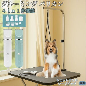 y5{|CgzVFbghV[vhbO 4in1 ybgpoJ Lp [d R[hX 􂢉 É y SOK g~O g}[Zbg SgJbg U ֐n Z~