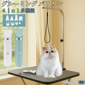 y5{|CgzyV Persian 4in1 ybgpoJ Lp [d R[hX 􂢉 É y SOK g~O g}[Zbg SgJbg U ֐n Z~bNn USB[d