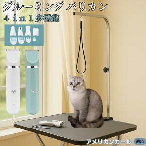 y5{|CgzAJJ[ American Curl 4in1 ybgpoJ Lp [d R[hX 􂢉 É y SOK g~O g}[Zbg SgJbg U ֐n Z~