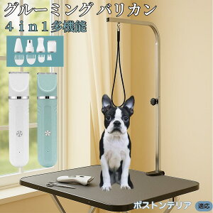 y5{|Cgz{XgeAiBoston Terrierj 4in1 ybgpoJ Lp [d R[hX 􂢉 É y SOK g~O g}[Zbg SgJbg U ֐n Z