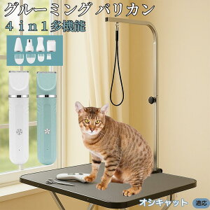 y5{|CgzIVLbg Ocicat 4in1 ybgpoJ Lp [d R[hX 􂢉 É y SOK g~O g}[Zbg SgJbg U ֐n Z~bNn USB