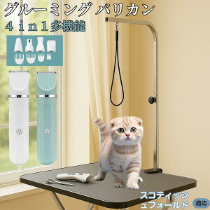 y5{|CgzXReBbVtH[h XR Scottish Fold 4in1 ybgpoJ Lp [d R[hX 􂢉 É y SOK g~O g}[Zbg SgJbg U
