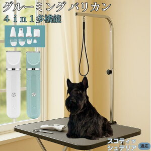 y5{|CgzXReBbVeAiScottish Terrierj 4in1 ybgpoJ Lp [d R[hX 􂢉 É y SOK g~O g}[Zbg SgJbg U 