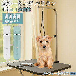 y5{|Cgzm[tH[NeAiNorfolk Terrierj 4in1 ybgpoJ Lp [d R[hX 􂢉 É y SOK g~O g}[Zbg SgJbg U ֐n 