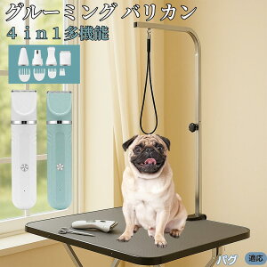 y5{|CgzpOiPugj 4in1 ybgpoJ Lp [d R[hX 􂢉 É y SOK g~O g}[Zbg SgJbg U ֐n Z~bNn USB[d 