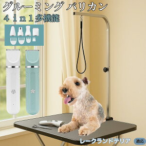 y5{|Cgz[NheA 4in1 ybgpoJ Lp [d R[hX 􂢉 É y SOK g~O g}[Zbg SgJbg U ֐n Z~bNn US