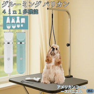 y5{|CgzAJERbJ[EXpjG 4in1 ybgpoJ Lp [d R[hX 􂢉 É y SOK g~O g}[Zbg SgJbg U ֐n 