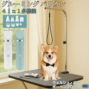 y5{|CgzEFVER[M[Eyu[N 4in1 ybgpoJ Lp [d R[hX 􂢉 É y SOK g~O g}[Zbg SgJbg U 