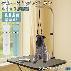 y5{|CgzP[u[EeA 4in1 ybgpoJ Lp [d R[hX 􂢉 É y SOK g~O g}[Zbg SgJbg U ֐n Z~bNn