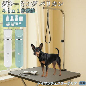 y5{|CgzgC}`FX^[eA 4in1 ybgpoJ Lp [d R[hX 􂢉 É y SOK g~O g}[Zbg SgJbg U ֐n Z~b