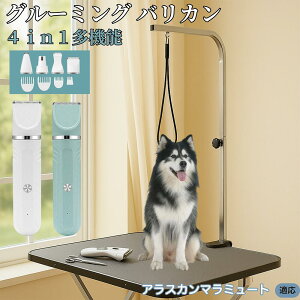 y5{|CgzAXJE}~[g 4in1 ybgpoJ Lp [d R[hX 􂢉 É y SOK g~O g}[Zbg SgJbg U ֐n Z~b