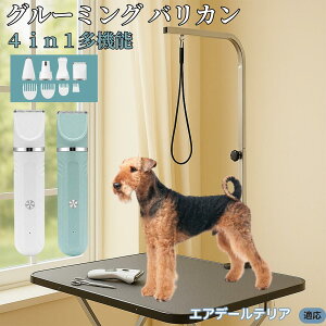 y5{|CgzGAf[EeAiAiredale Terrierj 4in1 ybgpoJ Lp [d R[hX 􂢉 É y SOK g~O g}[Zbg SgJbg U ֐n