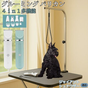 y5{|CgzWCAgEViEU[ 4in1 ybgpoJ Lp [d R[hX 􂢉 É y SOK g~O g}[Zbg SgJbg U ֐n Z~