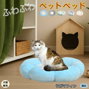 y10{|CgzK}tB RagaMuffin ybgxbh Ԍ^  L p 􂦂 ېOK ӂӂ  g ~  v y p q  tďH~  킢 