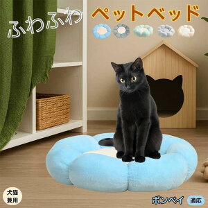 {xC Bombay ybgxbh Ԍ^  L p 􂦂 ېOK ӂӂ  g ~  v y p q  tďH~  킢 bNX  K N