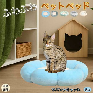ToiLbg Savannah Cat ybgxbh Ԍ^  L p 􂦂 ېOK ӂӂ  g ~  v y p q  tďH~  킢 bNX 