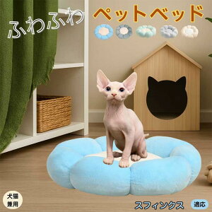 y10{|CgzXtBNX Sphynx ybgxbh Ԍ^  L p 􂦂 ېOK ӂӂ  g ~  v y p q  tďH~  킢 