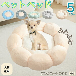 y5{|CgzOR[g` ybgxbh Ԍ^  L p 􂦂 ېOK ӂӂ  g ~  v y p q  tďH~  킢 