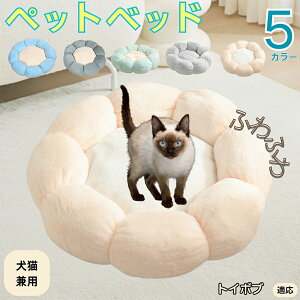 y5{|CgzgC{u Toybob ybgxbh Ԍ^  L p 􂦂 ېOK ӂӂ  g ~  v y p q  tďH~  킢 bN